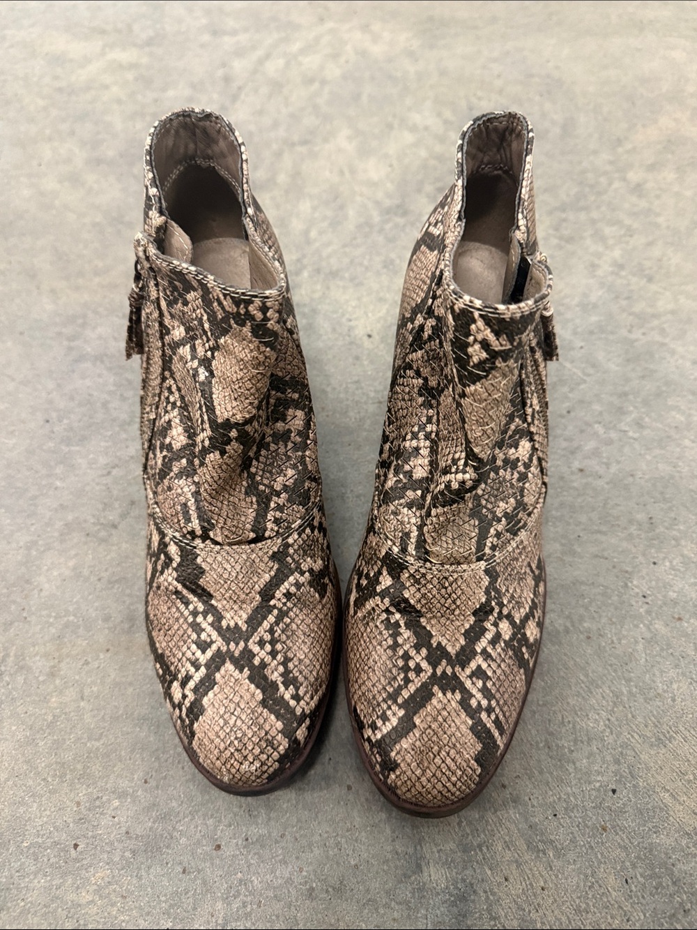 BareTraps Snake-Print Ankle Booties in Taupe and Black
